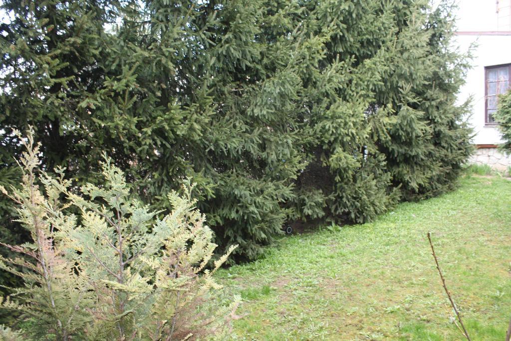 Penzion Oaza Trnava Bagian luar foto